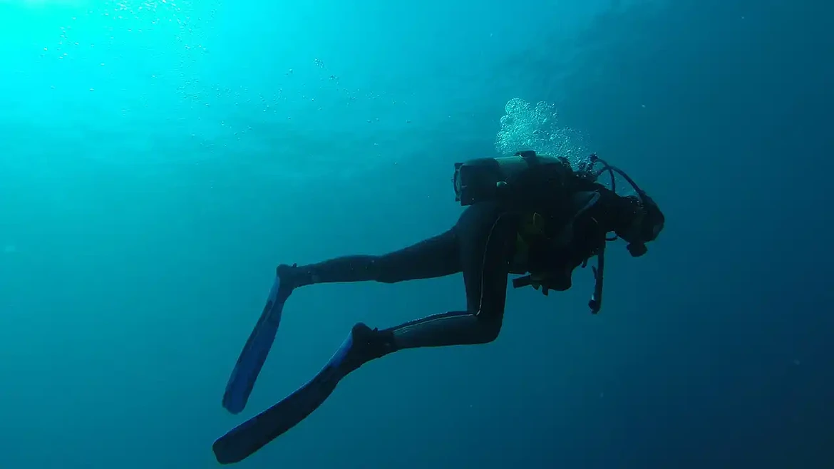 Seiko Prospex Dive Watch